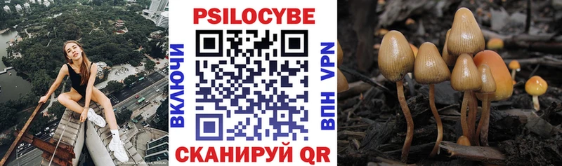 Галлюциногенные грибы Magic Shrooms  где купить наркотик  Катав-Ивановск 